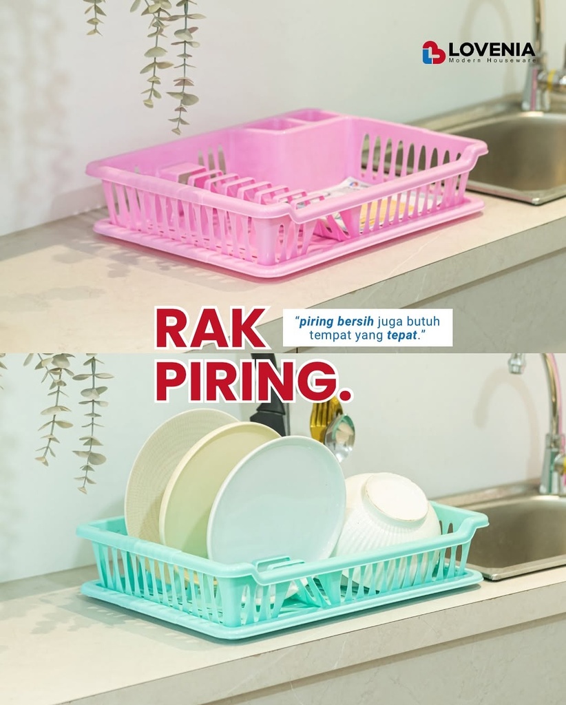 Rak Piring Lovenia