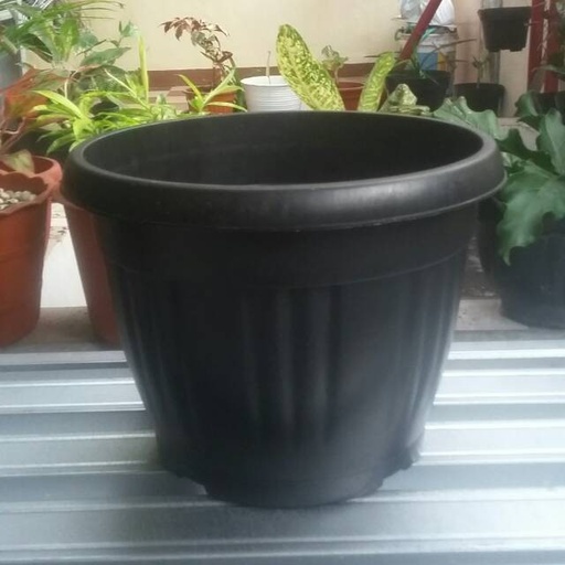 [Consu:02551] Pot Bunga FP-35 Bintang